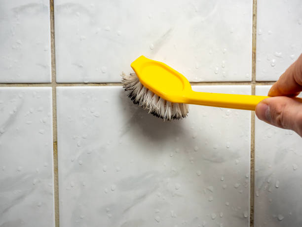 Best Mold Removal Near Me  in Hillsborough, NJ