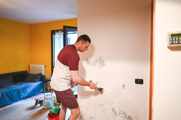 Best Attic Mold Removal  in Hillsborough, NJ
